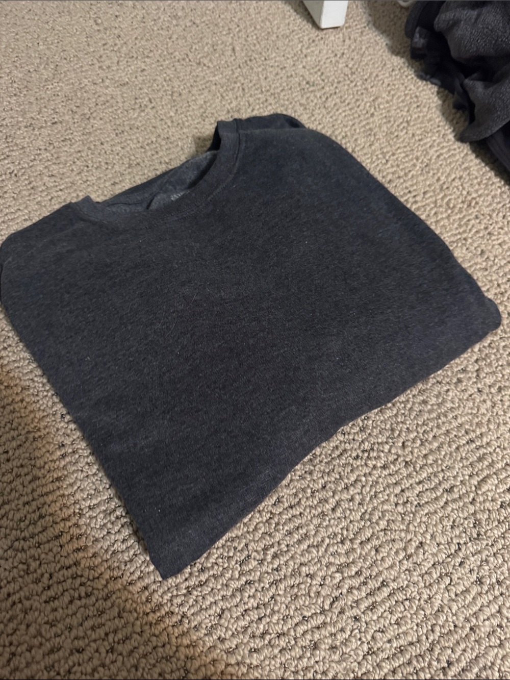 Fruit of the Loom Men's Charcoal Crewneck Sweater